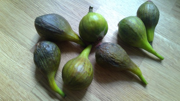 WIN_20180916_15_32_58_Pro